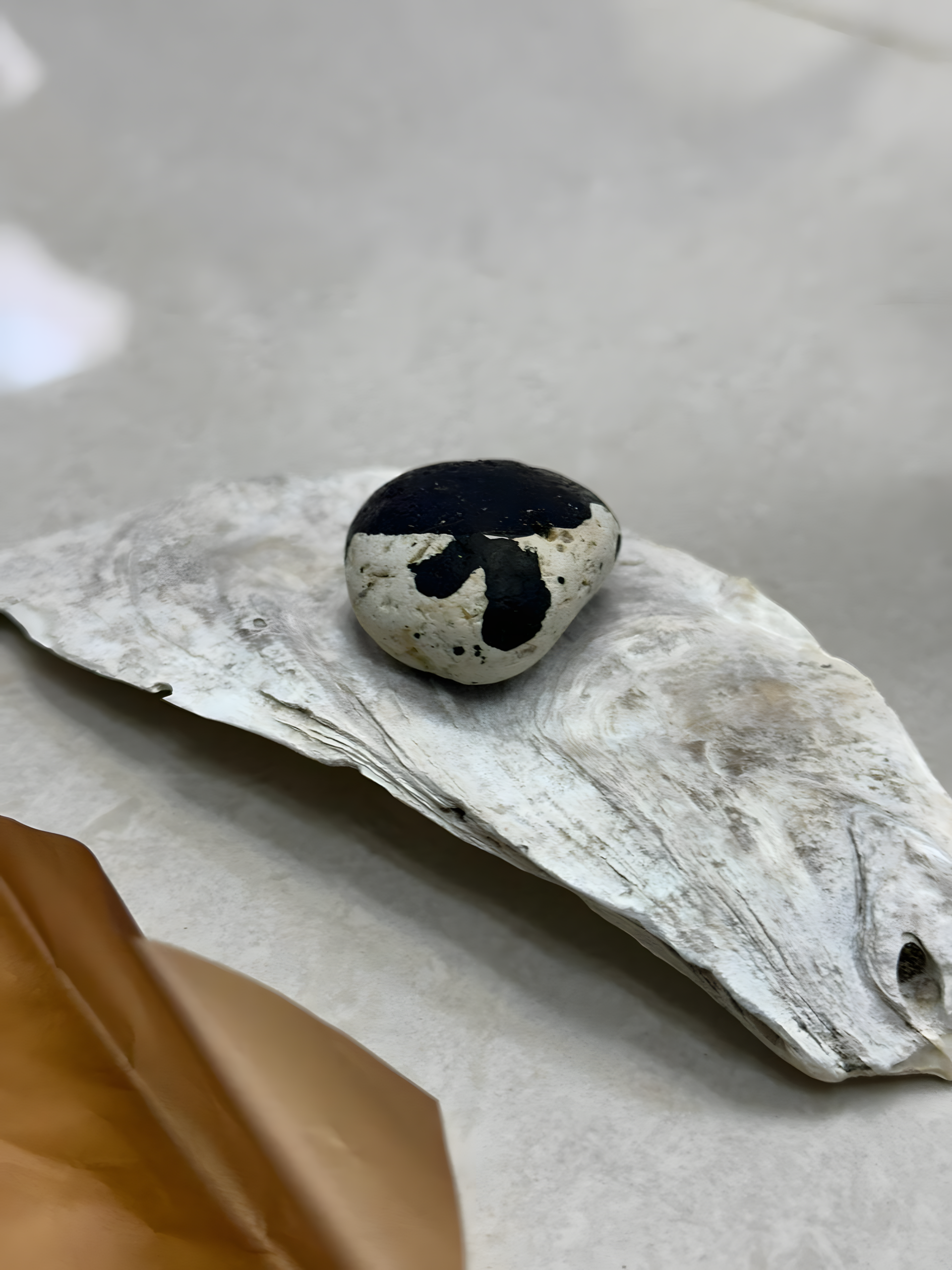 Artistic tools and materials